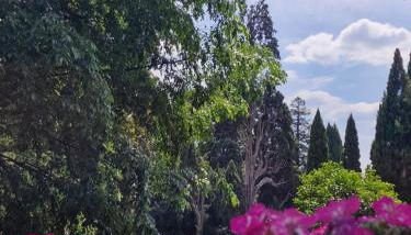 Vicolo d'Este - Photo 1