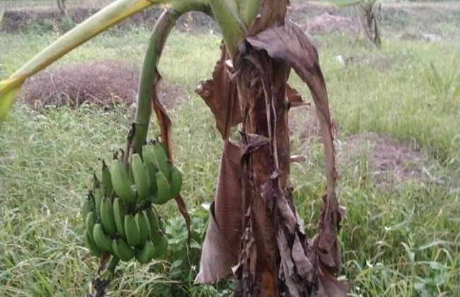 Mesmerising Farm Stay in Chalets Near Mumbai and Pune- Create Memories - Foto 22