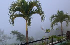 AP alto da serra Villas 104A - Photo 21