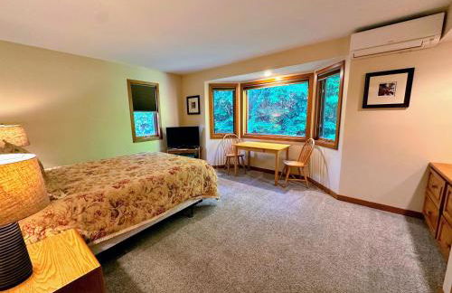 FC44 Renovated 3bed 3bath Forest Cottage AC views yard fast wifi Walk to skiing - Foto 25