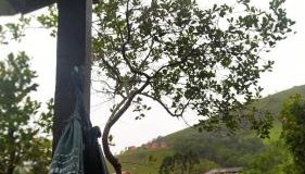 Casa da Roça - Photo 2