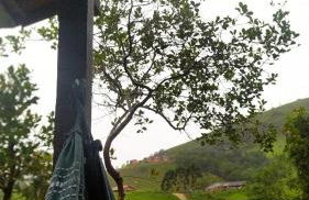 Casa da Roça - Photo 2