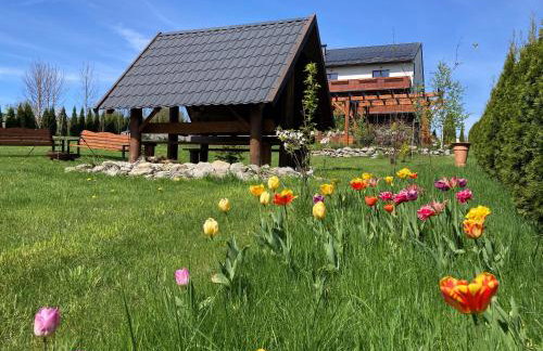 Apartamenty Black Lion - Foto 20