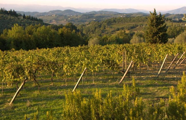 Tuscany Bliss: Garden Retreat - Foto 31