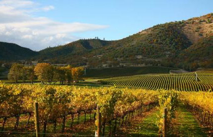 Lovely Private Guest Suite - 30MIN to SF, Berkeley, Napa - Foto 17