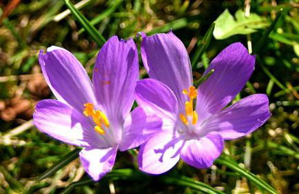 Ferienhaus Drebach - Foto 89