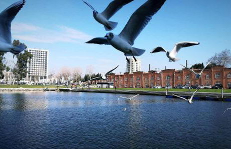 Moradia entre o Mar e a Ria - Foto 54