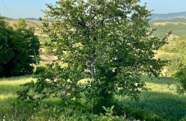 La Dimora di Armida - Foto 7