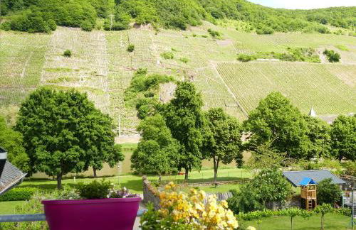 Luiza Fewo - Foto 34