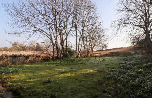 Rose Cottage - Photo 20