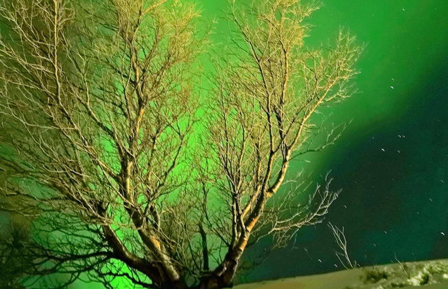 Holiday Home in Rebbenes - Foto 20