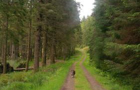 Argyllholidaycottage Loch Awe - Foto 19