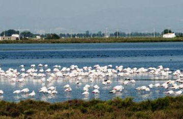 Allotjament turistic Casa Serral-Ocampo - Foto 46