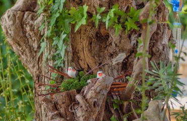 Studio APP Luka-We love nature. - Foto 22