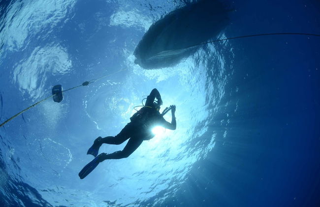 Vilas Espirito Santo - Foto 13