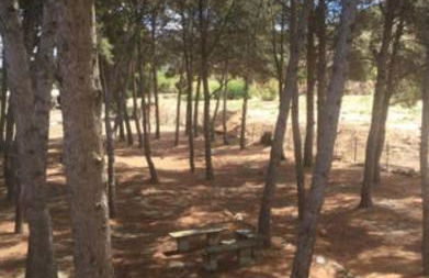 Casa Molera - Foto 59