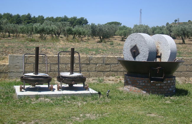 Agriturismo Fieri - Photo 54