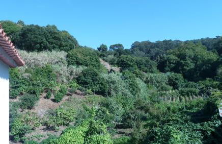 ribeira dos marinheiros azul - Foto 25