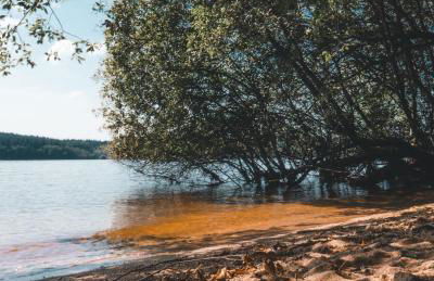 Gîtes Le Fer A Cheval Vassivière - Photo 21