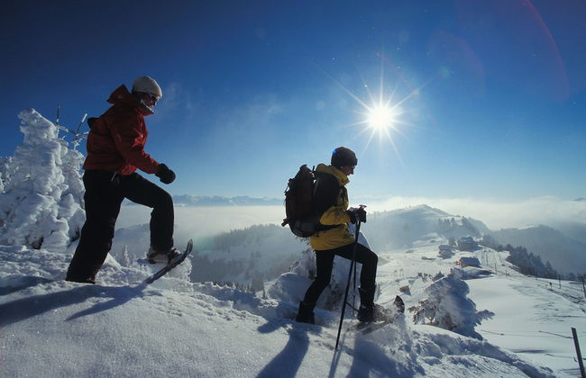 APART HOLIDAYS Morschach - Foto 17