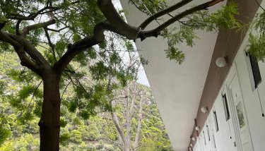 KONTOGIANNIS lihas club 2 - Foto 3