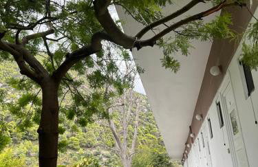 KONTOGIANNIS lihas club 2 - Photo 3