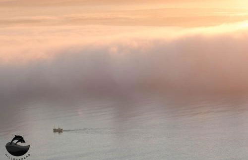 Dolphin View Hillockhead - Foto 55