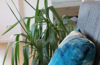 Ferienwohnung Documenta Urbana - Foto 20