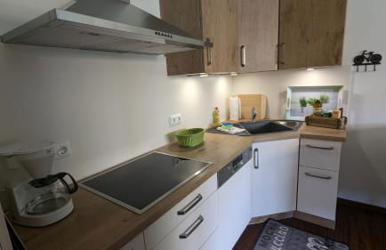 Ferienwohnung Alpenblick in Bolsterlang Sommerbergbahn kostenlos - Foto 5