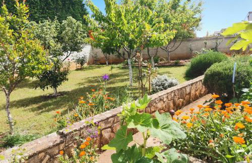 Romantic Apartment Flower - Photo 26