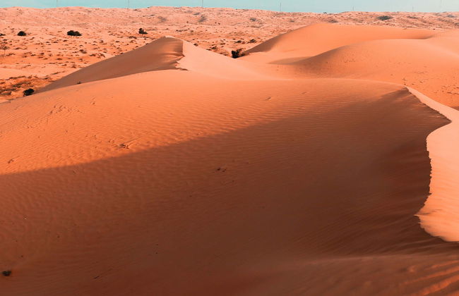 Desert Safari con cena y espectáculo - Foto 1