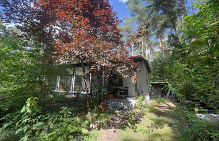 Erholungshaus "Kolibri" direkt in WandlitzWald See, Haustiere - Photo 24