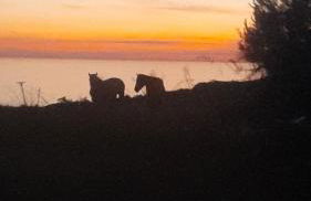 CASA CELESTE - Foto 19