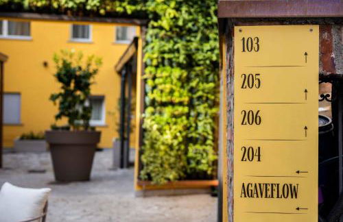 Agave in Centrale - Foto 69