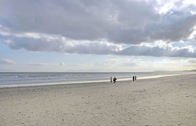 Jacquelena Hof 9 - Photo 33