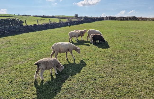 Stunning 1-bed Shepherd hut - Foto 26