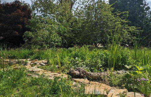 Cosy listed barn in peaceful country village - Foto 11