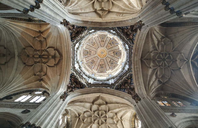 Tour privado por Salamanca - Foto 6