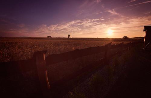 Sosnowa Oaza - Foto 13