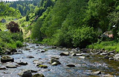 Ferienwohnungen in Schönmünzach - Photo 15