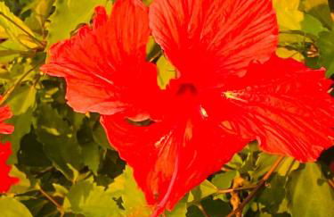 Vivenda São José - Oceanfront Paradise - Photo 41