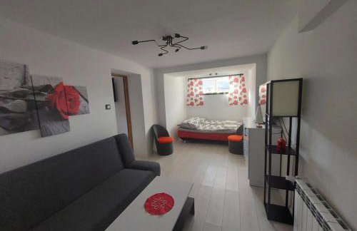 Apartament u Majki - Foto 16