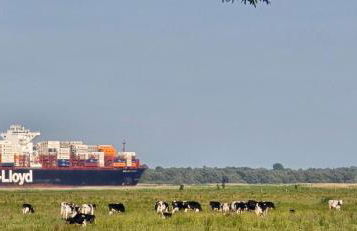 Oase am Deich - Photo 61