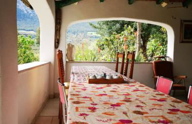 Pinnettu sardo tipica abitazione sarda in ecosistema insetti e animaletti simpatici in condivisione bagno esterno a 10metri Leggere attentamente Prima di prenotare - Foto 27