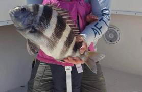 Pet Friendly Tranquil Cottage with Fire-Pit & Hot Tub Minutes to BEACHES - Foto 35