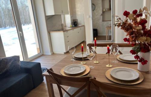 Apartamenty przy Suntago - Pieńki i Towarzystwo - Photo 38