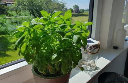 Meine Zeit - Foto 15