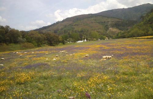 Casa de Xisto - Foto 28