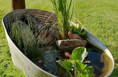 besinndich - Foto 19