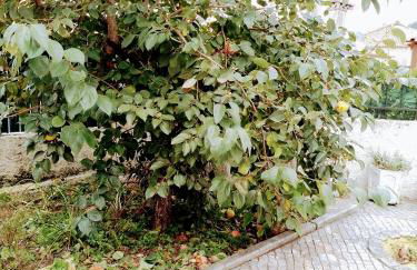 Casa dos Quatro Irmãos - Foto 12